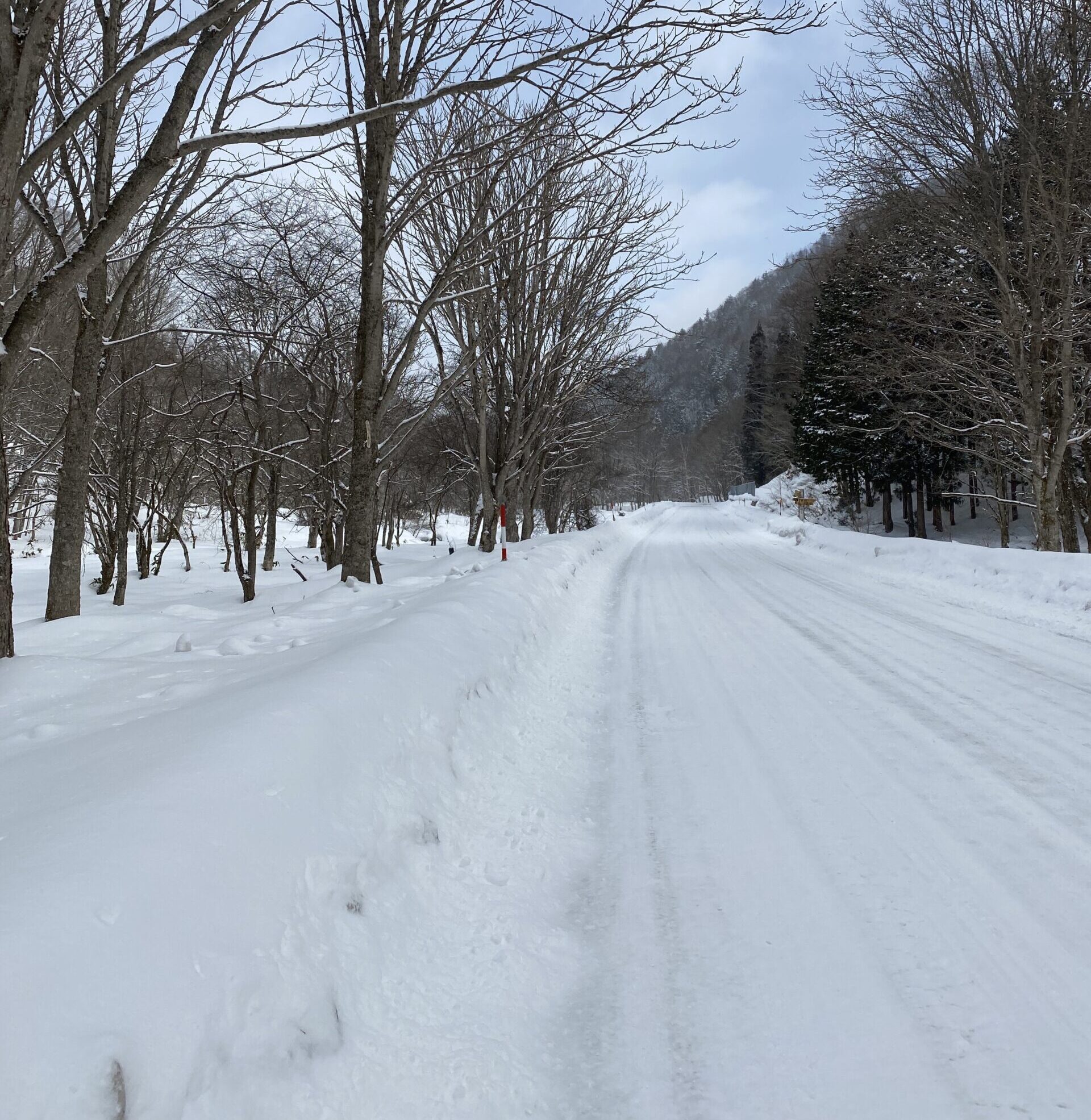 名古屋方面から飛騨古川へ向かう際に走ったせせらぎ街道の写真「2月」